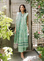 SAIRA SHAKIRA BLOOM D-03B