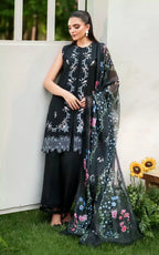 ASIFA NABEEL EDEN ECC-02