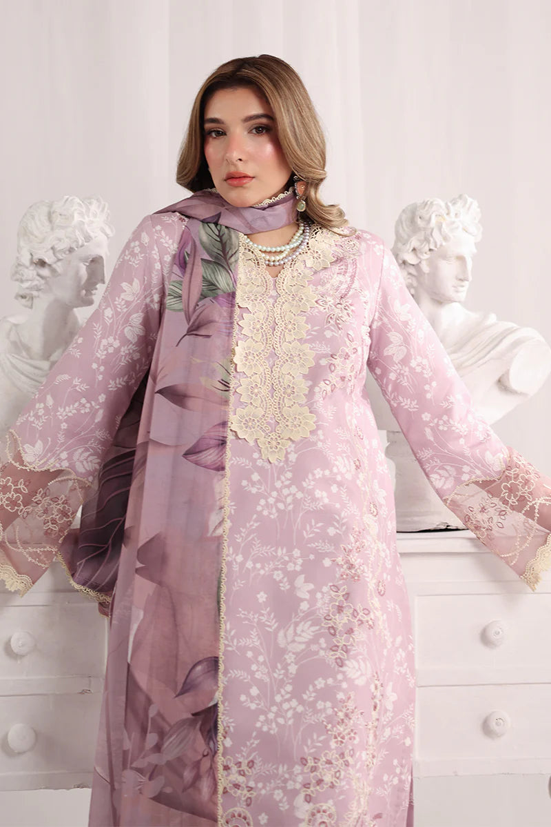 RANG RASIYA NOVA SUMMER ISABELLA