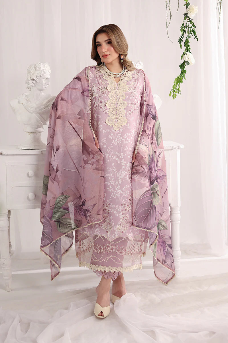 RANG RASIYA NOVA SUMMER ISABELLA