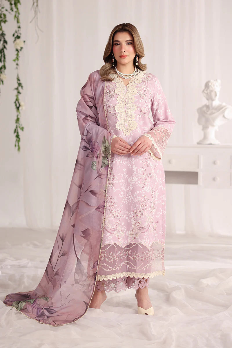 RANG RASIYA NOVA SUMMER ISABELLA