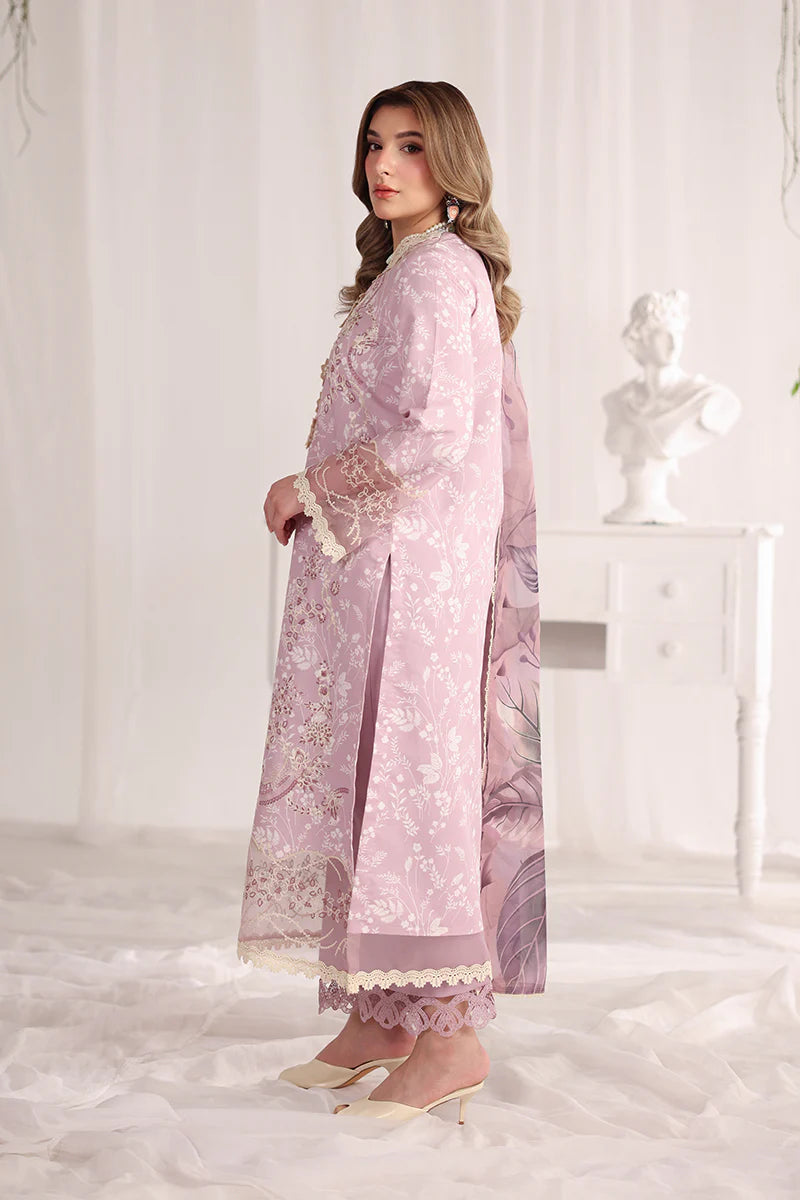 RANG RASIYA NOVA SUMMER ISABELLA