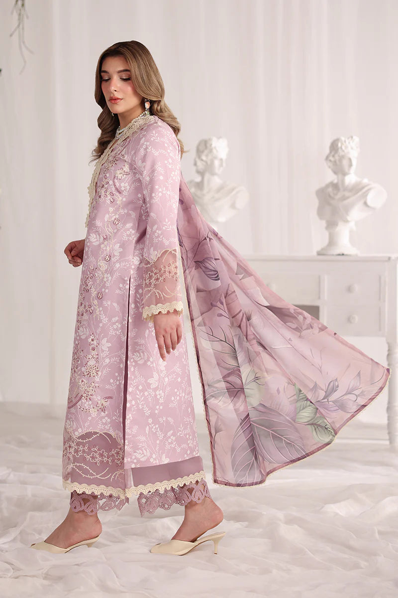 RANG RASIYA NOVA SUMMER ISABELLA