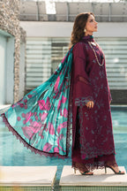RANG RASIYA CARNATION KAIA