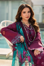 RANG RASIYA CARNATION KAIA