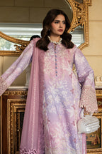RANG RASIYA CARNATION LARA