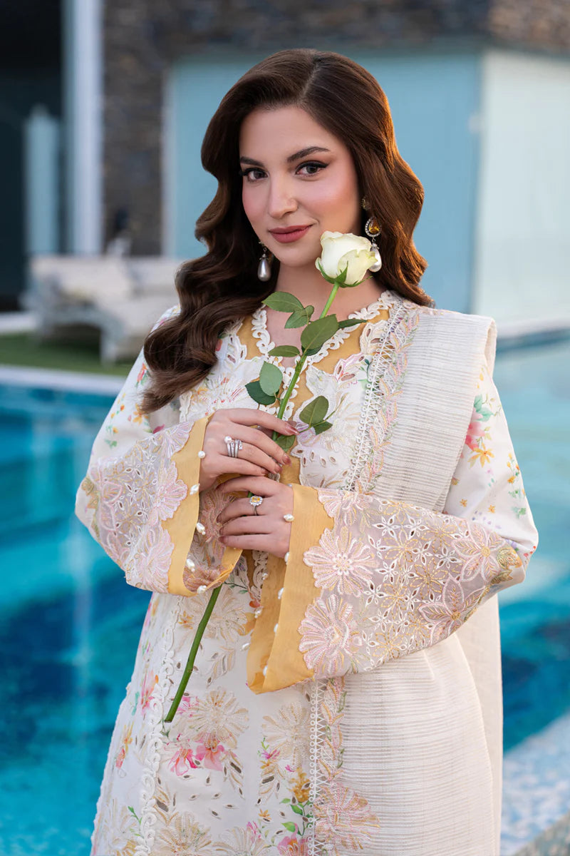 RANG RASIYA CARNATION LILY