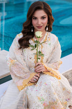 RANG RASIYA CARNATION LILY