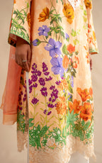 ASIFA NABEEL MERAKI LAWN MSSL-11