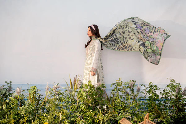 AABYAAN SHEZLIN AR-12