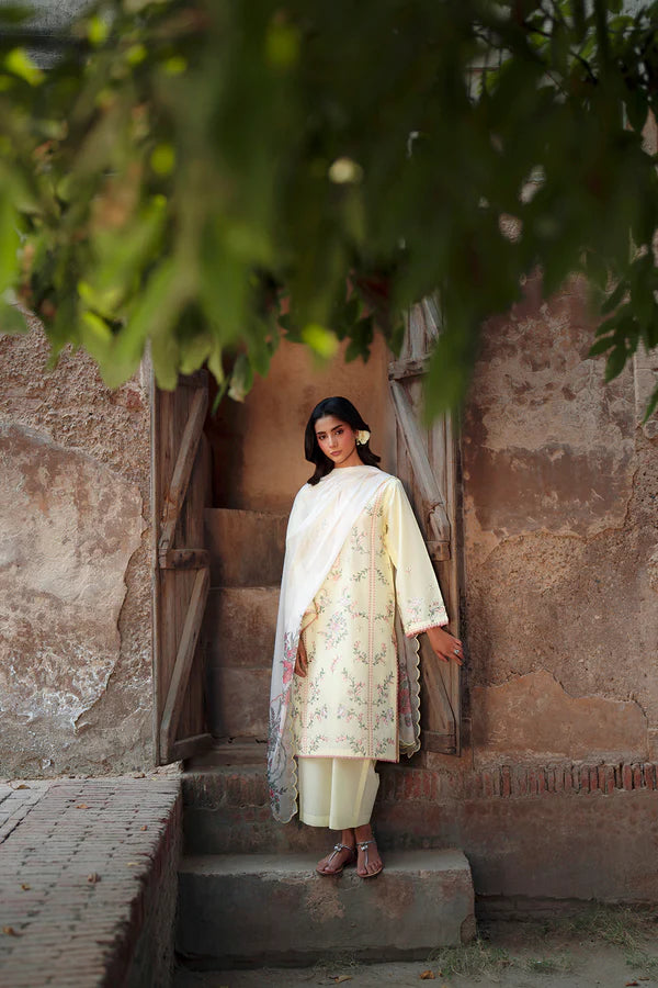 DEYAR HEER PRET 3PC
