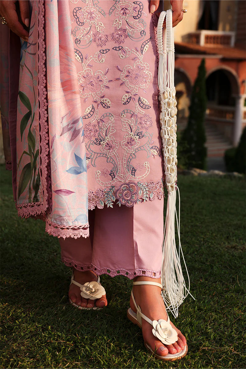 RANG RASIYA FLORENCE SUMMER MANHA