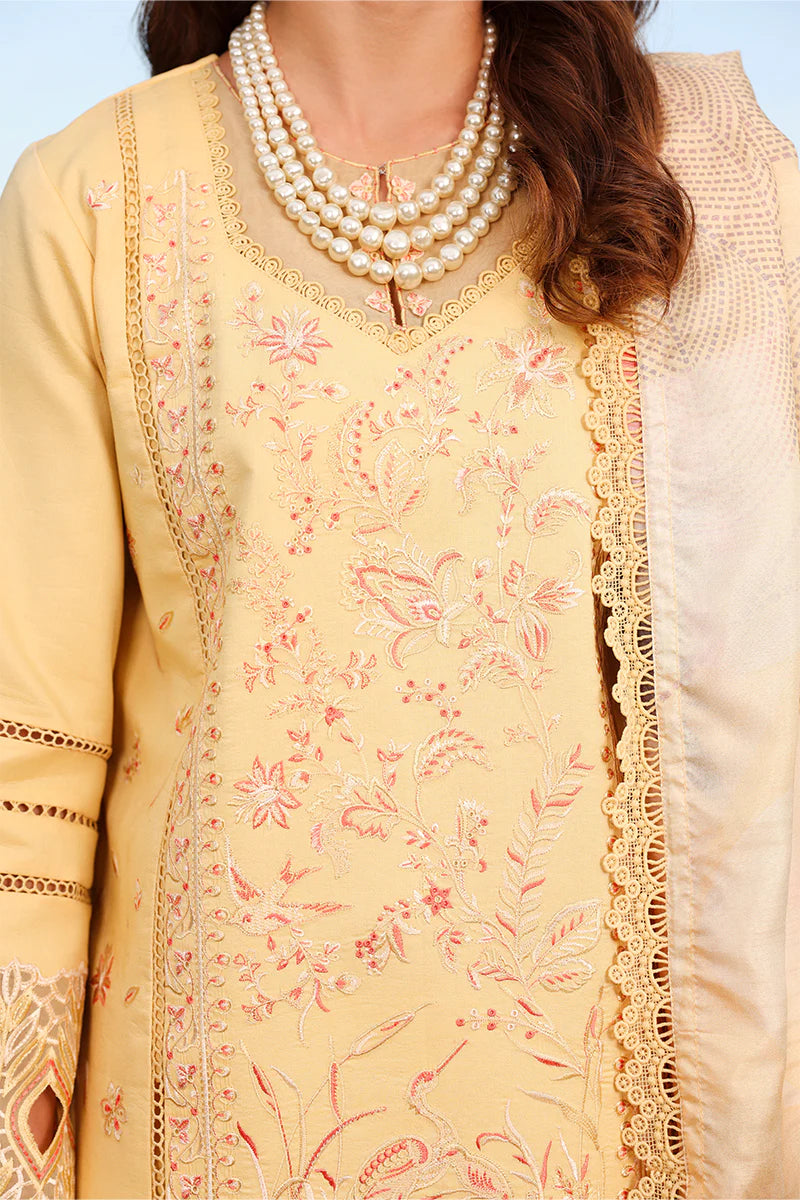 RANG RASIYA FLORENCE SUMMER MIRHA