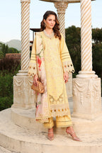 RANG RASIYA FLORENCE SUMMER MIRHA