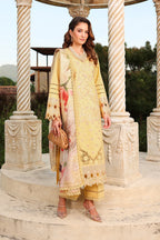 RANG RASIYA FLORENCE SUMMER MIRHA