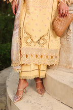 RANG RASIYA FLORENCE SUMMER MIRHA