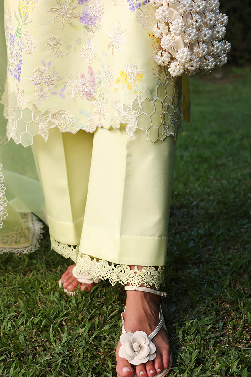 RANG RASIYA FLORENCE SUMMER MISHA