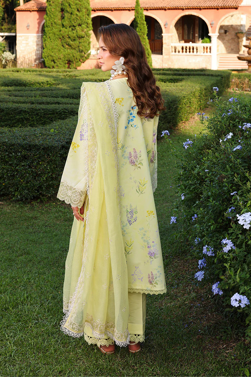 RANG RASIYA FLORENCE SUMMER MISHA