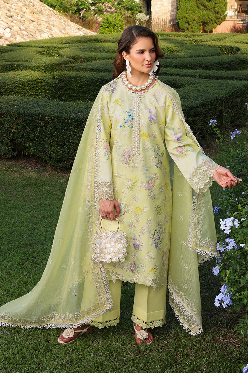 RANG RASIYA FLORENCE SUMMER MISHA