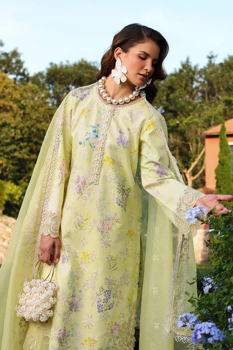 RANG RASIYA FLORENCE SUMMER MISHA