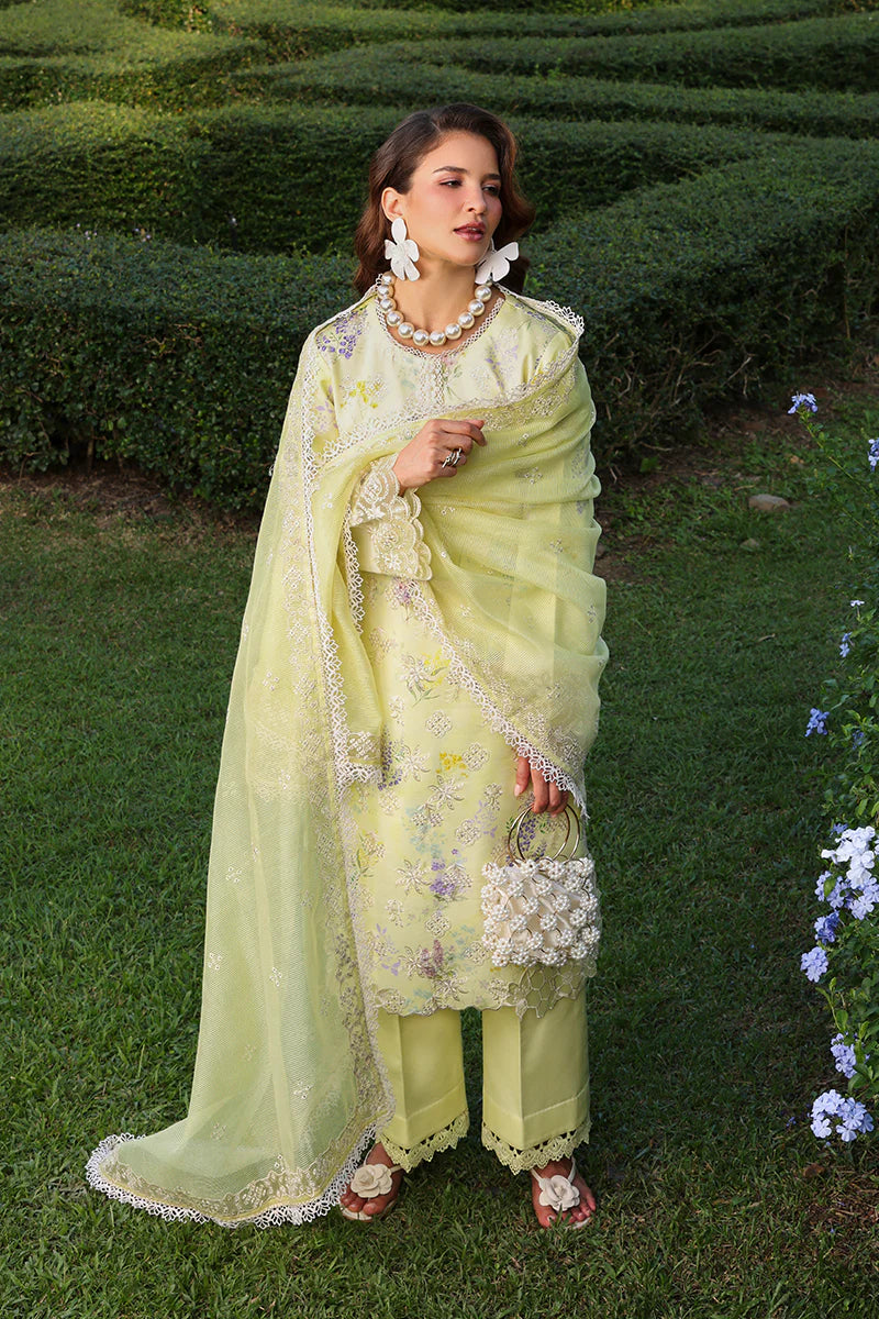 RANG RASIYA FLORENCE SUMMER MISHA