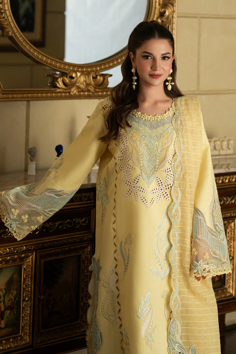 RANG RASIYA CARNATION NADIA