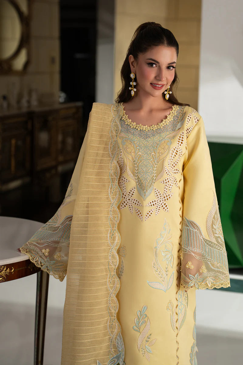 RANG RASIYA CARNATION NADIA