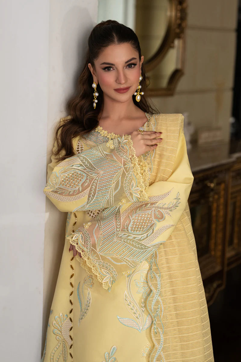 RANG RASIYA CARNATION NADIA