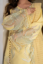 RANG RASIYA CARNATION NADIA