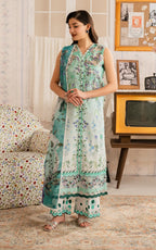 ASIFA NABEEL MERAKI MVL25-15