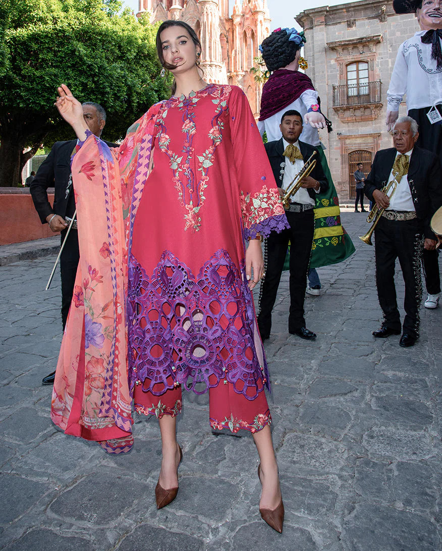 HEMLINE MUSHQ ODYSSEY NICOLAS