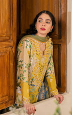 ASIFA NABEEL MERAKI MVL25-04