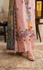 ASIFA NABEEL MERAKI MVL25-14