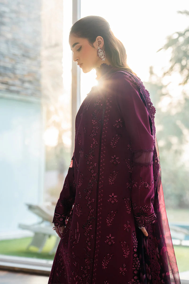 RANG RASIYA CARNATION NORA