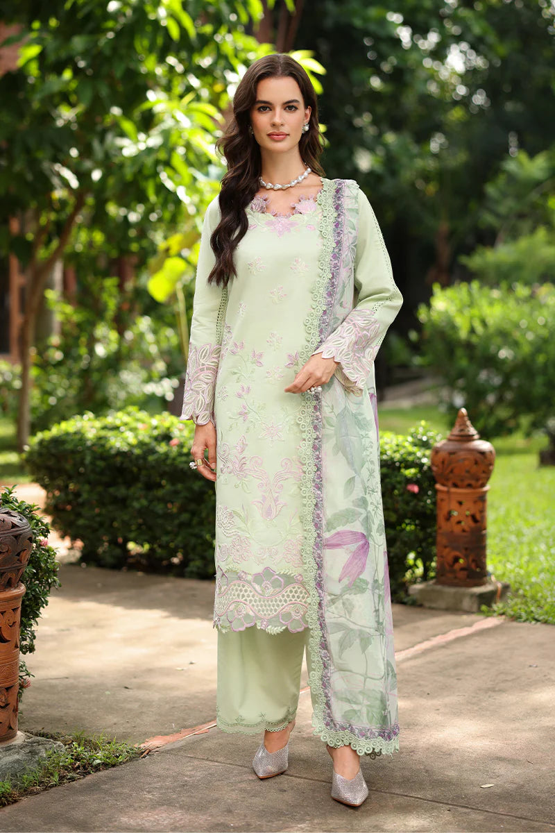 RANG RASIYA MEHARMA ORCHID