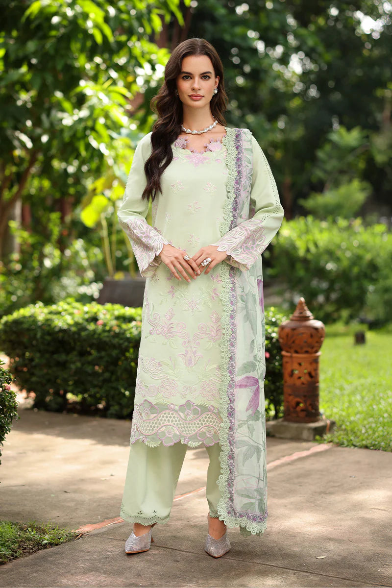 RANG RASIYA MEHARMA ORCHID