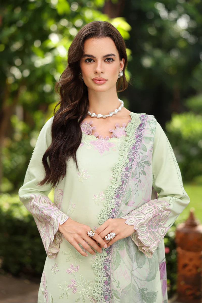 RANG RASIYA MEHARMA ORCHID