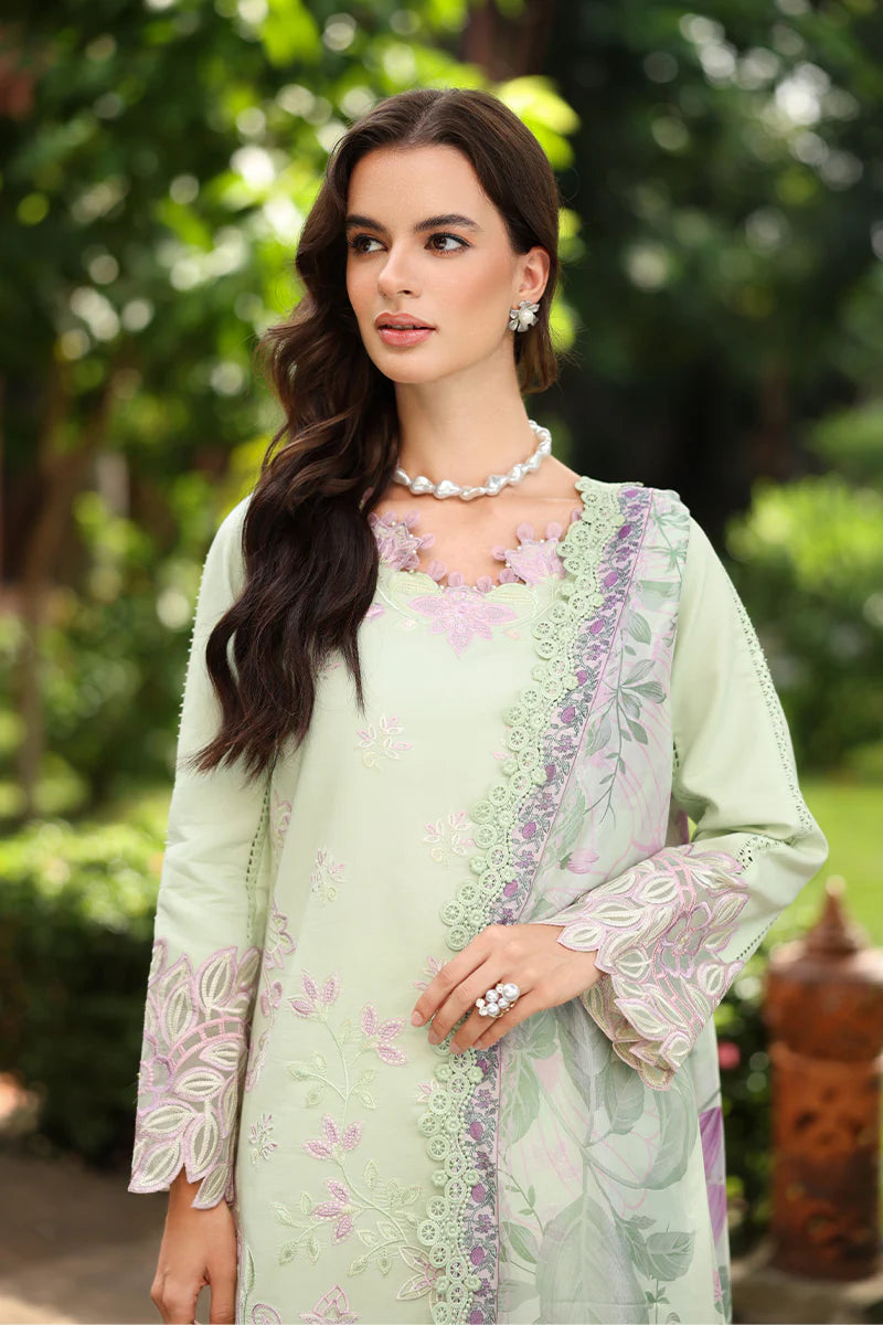 RANG RASIYA MEHARMA ORCHID