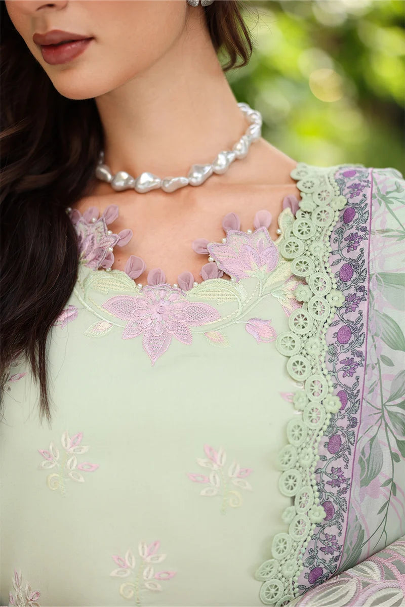 RANG RASIYA MEHARMA ORCHID