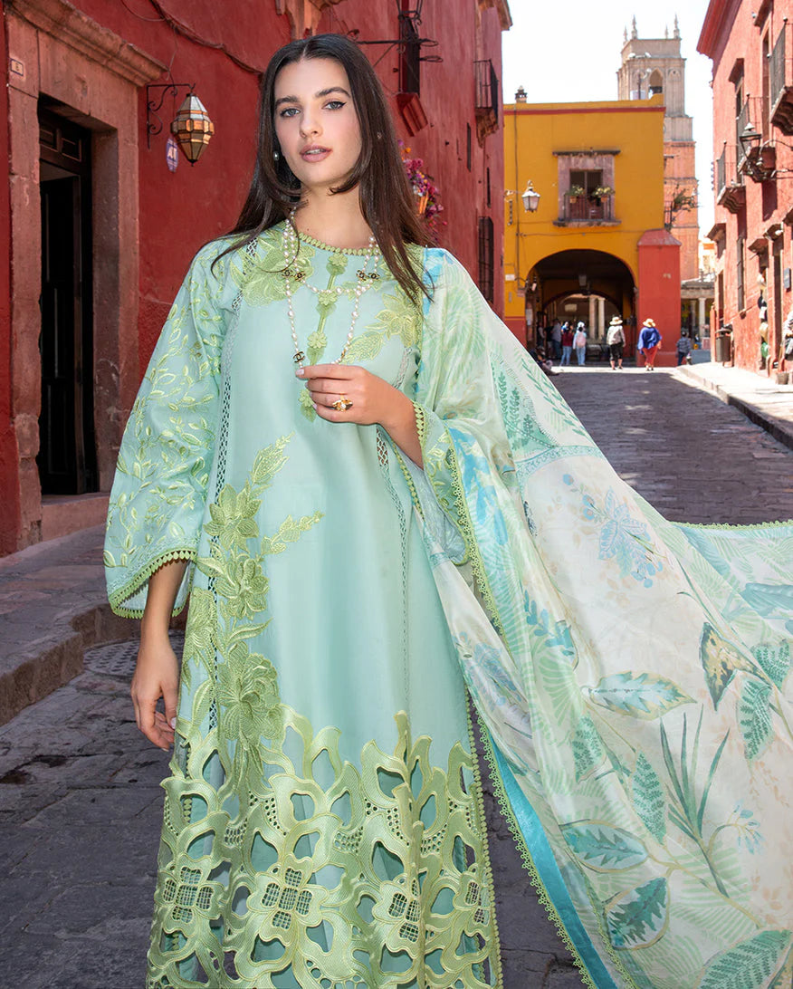 HEMLINE MUSHQ ODYSSEY PALOMA