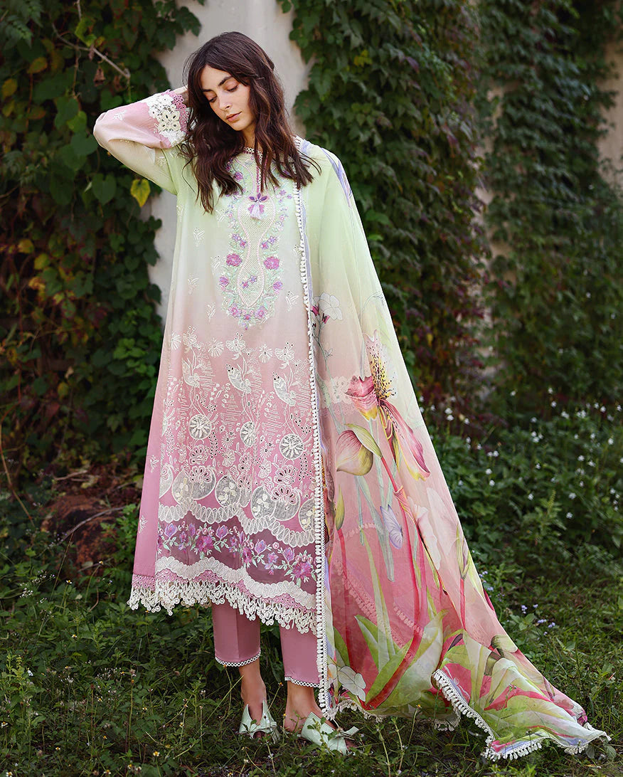 MUSHQ SOLACE OMBRE PETAL PULL
