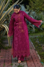 STITCHED BY CC RANG RASIYA LUXURY EID AYRA 3PC