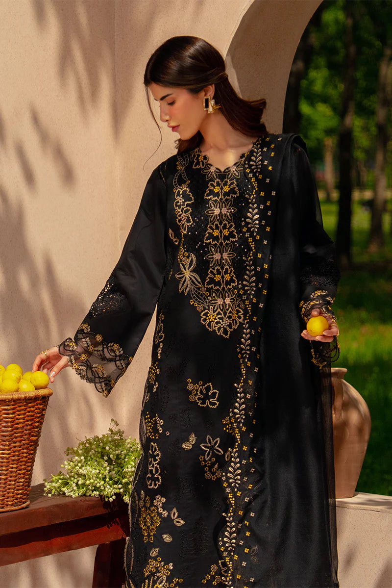 RANG RASIYA LUXURY EID LAYL