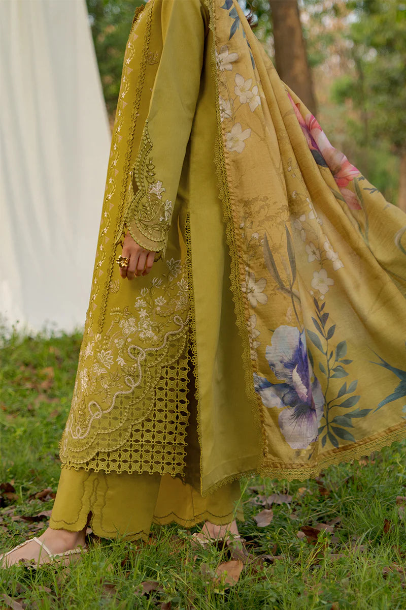 RANG RASIYA LUXURY EID HAYA