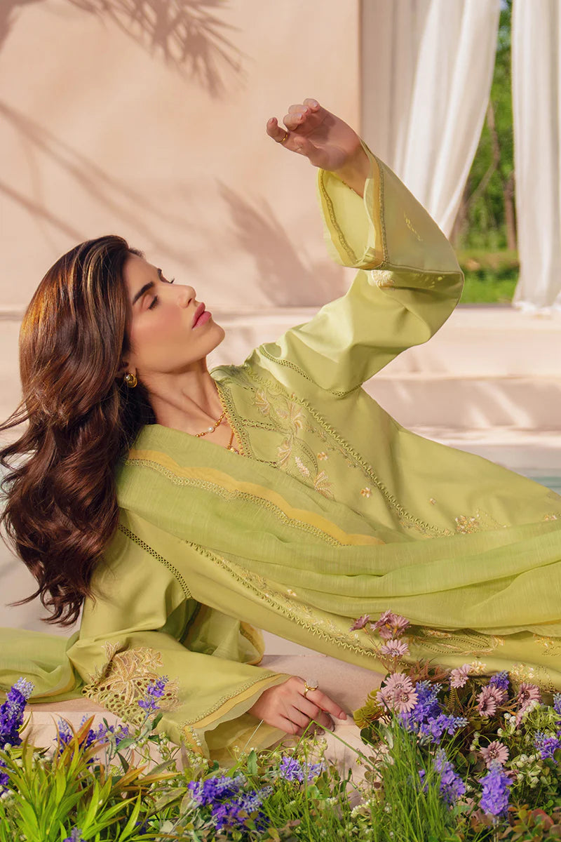 RANG RASIYA LUXURY EID NADINE