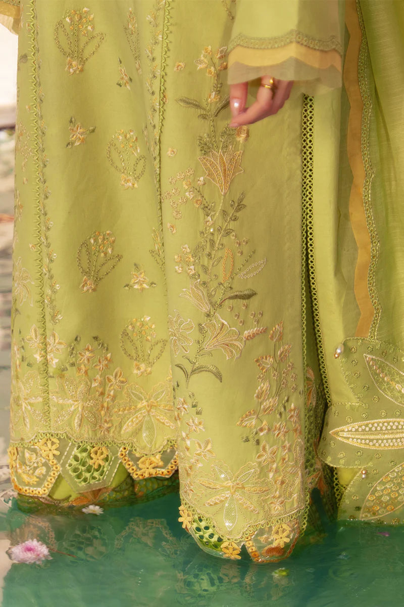 RANG RASIYA LUXURY EID NADINE