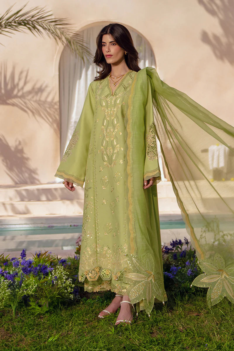 RANG RASIYA LUXURY EID NADINE