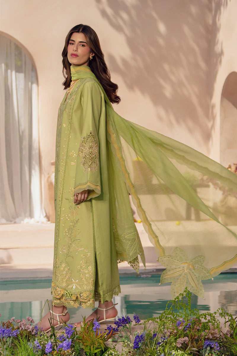 RANG RASIYA LUXURY EID NADINE