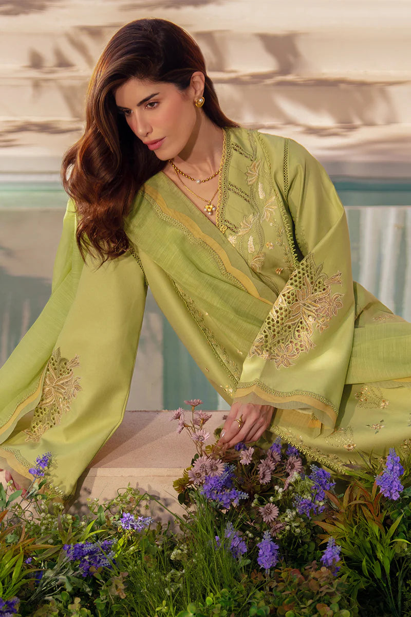 RANG RASIYA LUXURY EID NADINE