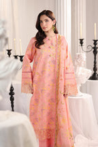 RANG RASIYA NOVA SUMMER ROSALIA